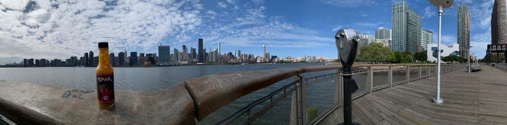 NYC skyline and Empire State w/gnar sauce